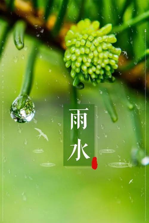 春风化雨润绿草打一准确生肖,前沿解答解释落实_rmc78.37.54